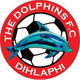 海豚足球俱乐部 logo