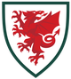 威尔士U21 logo