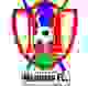 马舒贾足球俱乐部 logo